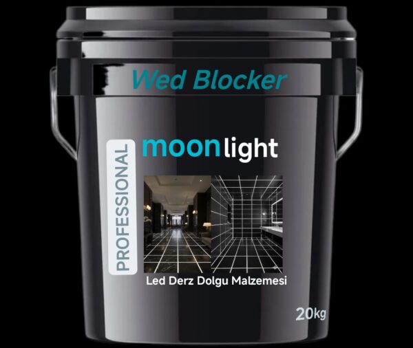 MOON LIGHT